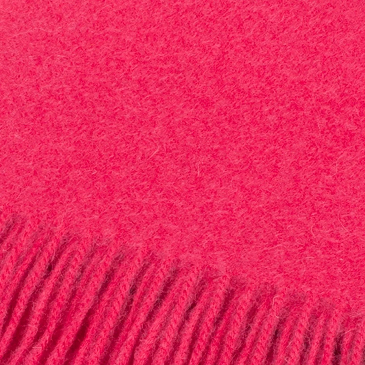 Edinburgh 100% Lambswool Scarf  Violet Pink