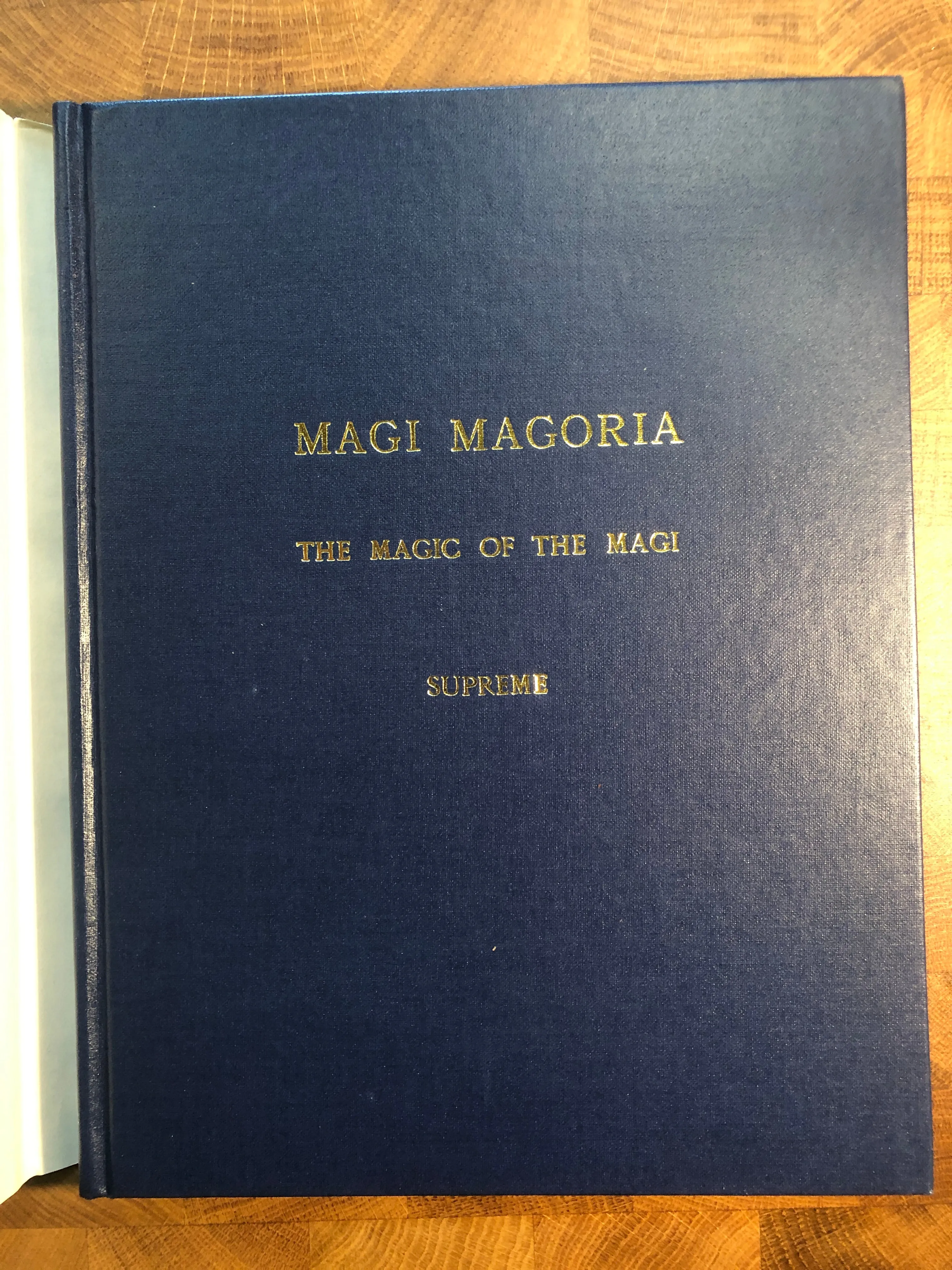 Magi Magoria - Knox Crichton (LIKE NEW)